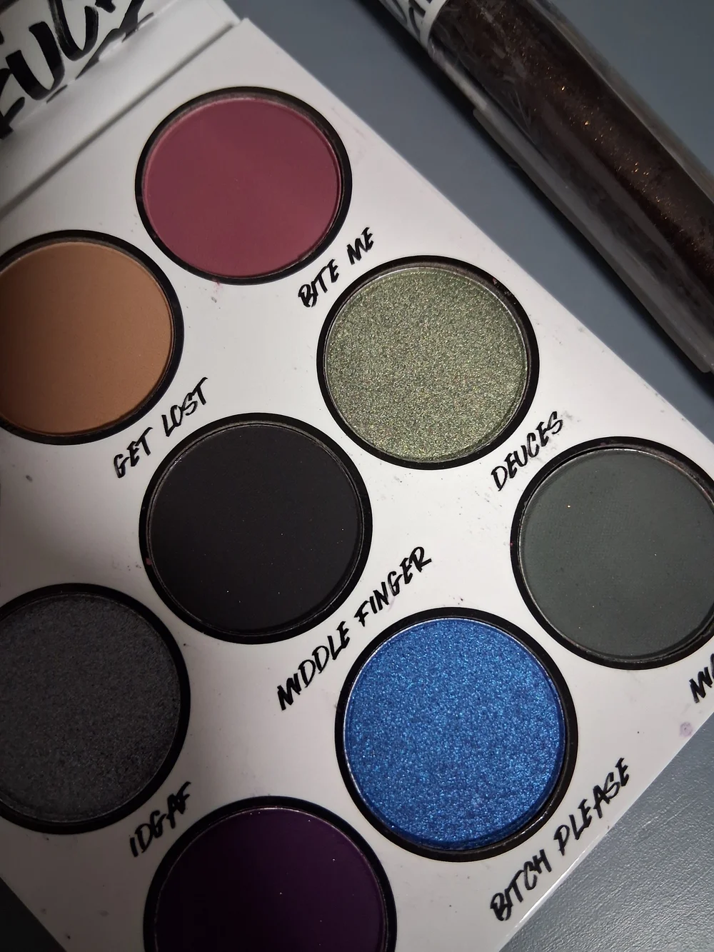 BH Cosmetics F**ck Off Palette And Lipgloss